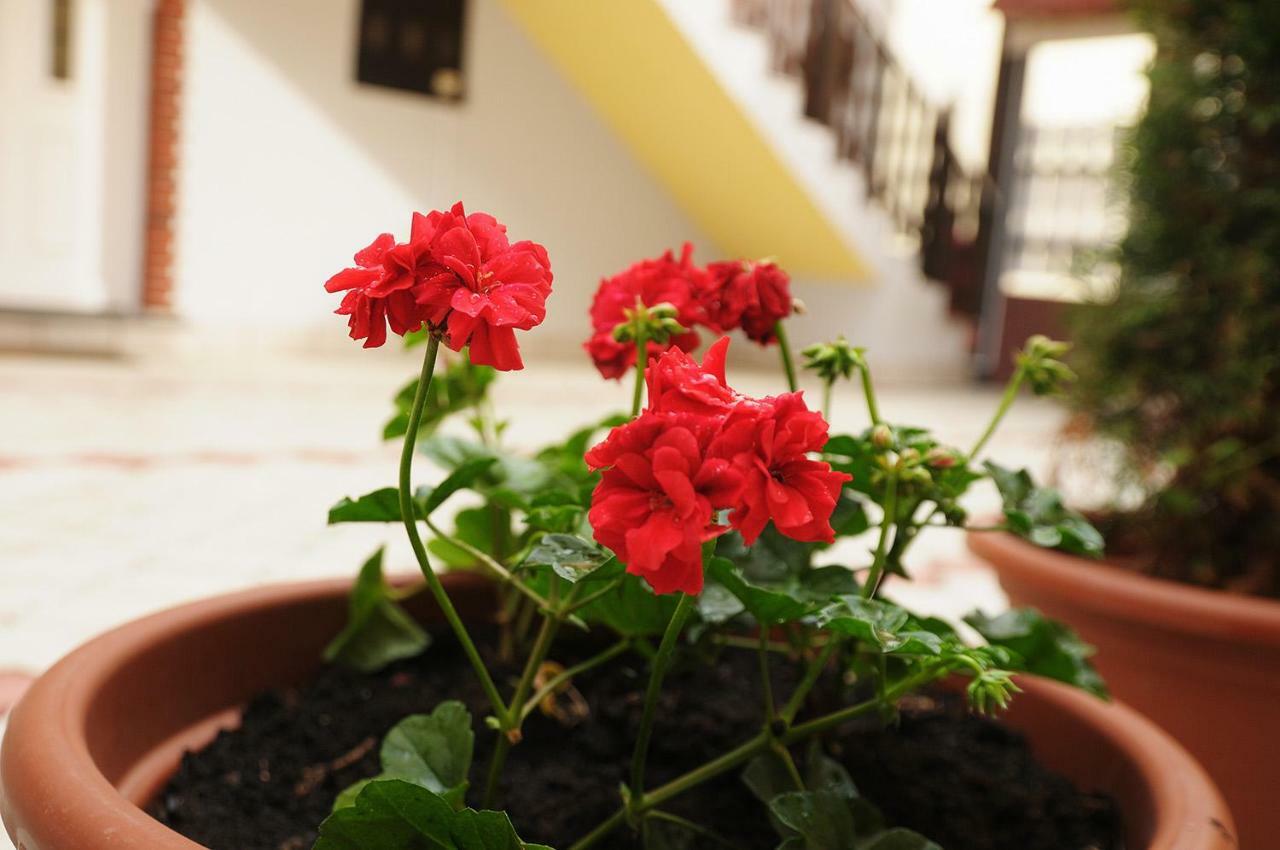 Apartman Baron Višegrad Extérieur photo